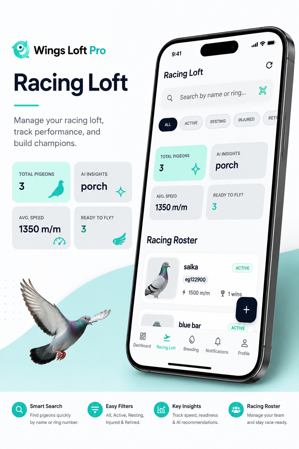 Wings Loft • Racing loft